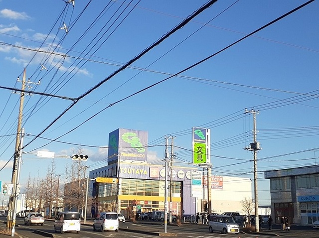 レンタルビデオ　WonderGOO TSUTAYA ひたちなか店（レンタルビデオ）まで1624m