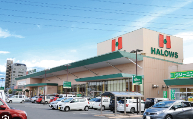 スーパー　ハローズ東古松店（スーパー）まで739m