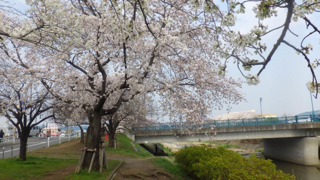 公園　南浅川緑地（公園）まで707m