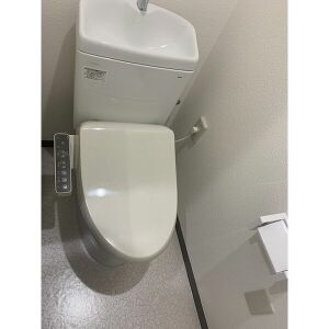 トイレ　同物件写真※現状優先です (完成予想)