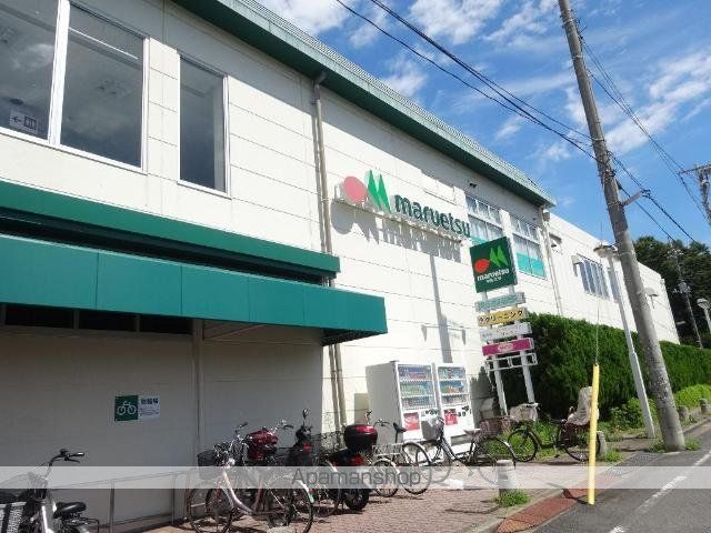 その他　ザ・ダイソーマルエツ西新井店（その他）まで750m
