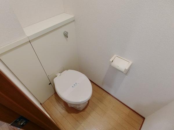 近鉄南大阪線 道明寺駅 徒歩8分 2階建 築27年のトイレ写真