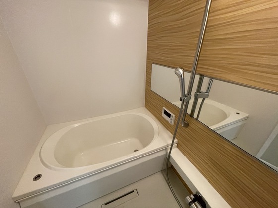 バス・シャワールーム　※別部屋の写真です