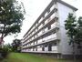 ＵＲ都市機構保津川団地１４号棟 5階 築43年1ヶ月の賃貸物件