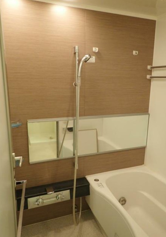 Brillia武蔵小山idの風呂写真