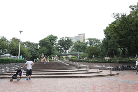 公園　礫川公園（公園）まで451m