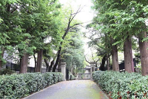 中学校　文京区立第三中学校（中学校）まで272m