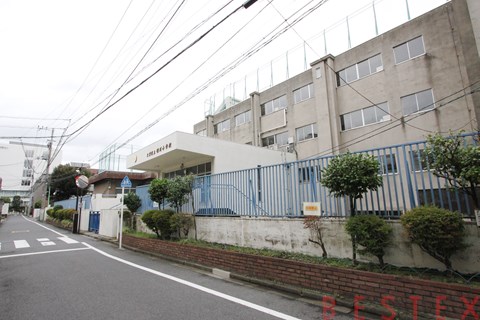 小学校　文京区立礫川小学校（小学校）まで259m