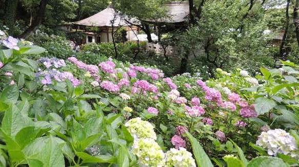 その他　妙楽寺（その他）まで928m