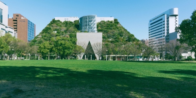公園　天神中央公園（公園）まで1274m
