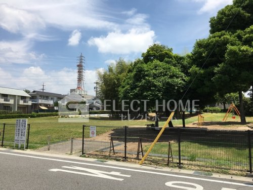 公園　向山公園（公園）まで171m
