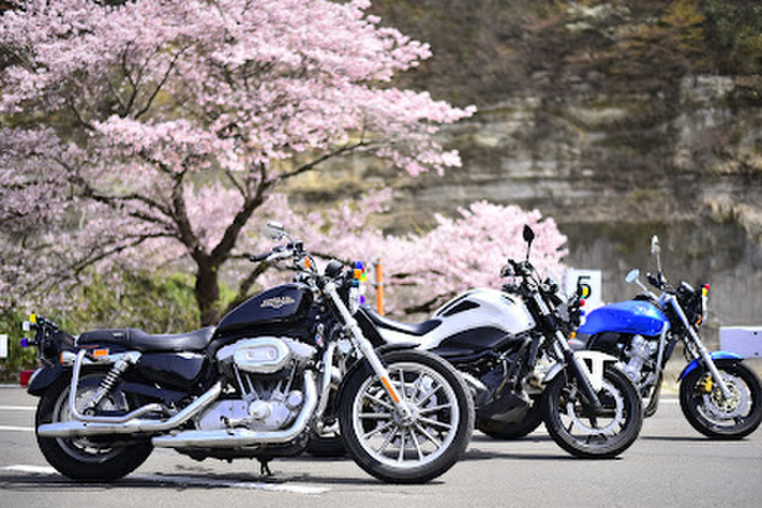 大学・短大　花壇自動車学校（大学・短大）まで750m