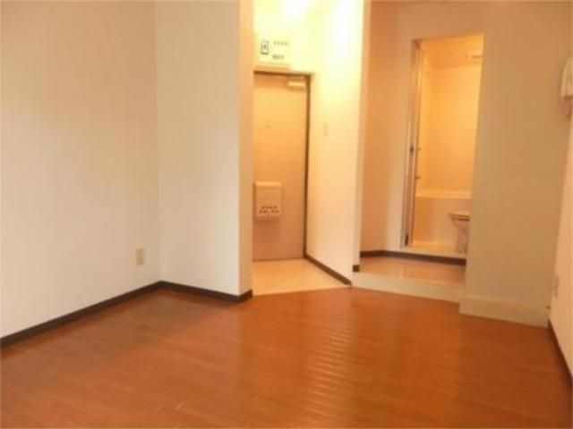 居室・リビング　※類似部屋参照