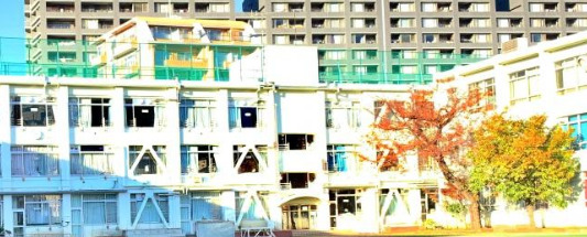 小学校　新宿区立柏木小学校（小学校）まで1001m