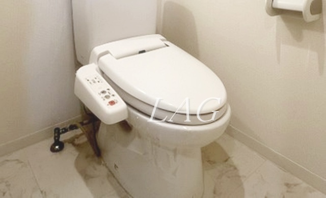 トイレ　トイレです。