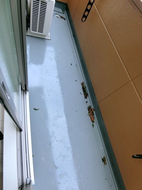 バルコニー　☆バルコニー☆