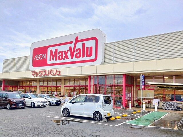 スーパー　マックスバリュ（スーパー）まで1100m