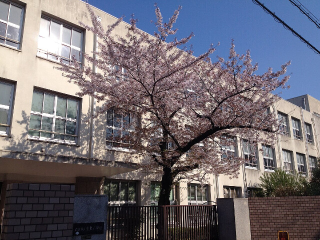 小学校　大阪市立豊里小学校（小学校）まで350m