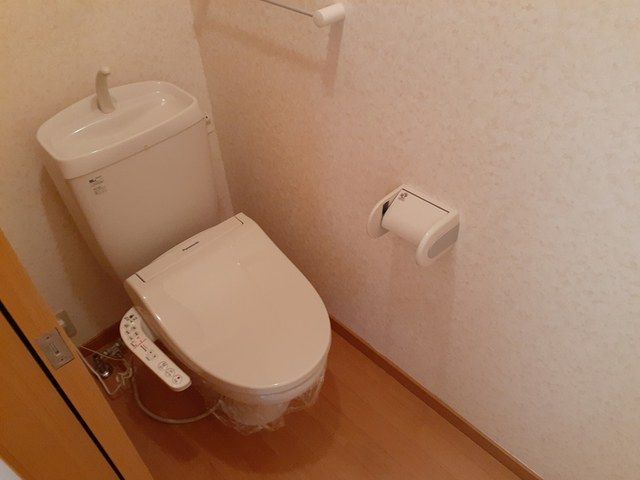 トイレ　トイレも気になるポイント