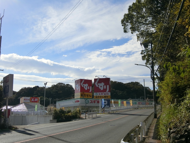 ドラックストア　スギ薬局白川台店（ドラッグストア）まで619m