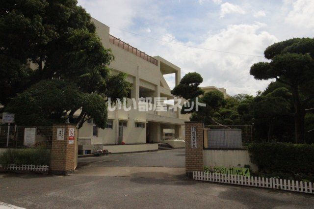 中学校　福岡市立西福岡中学校（中学校）まで1169m