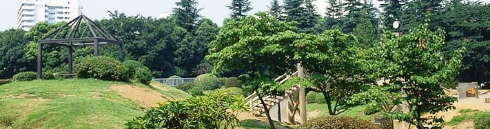公園　戸山公園（公園）まで332m