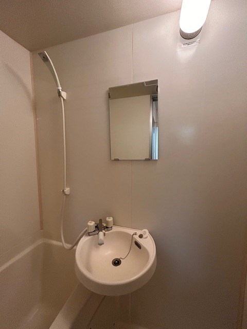 洗面設備　別タイプイメージ写真です。