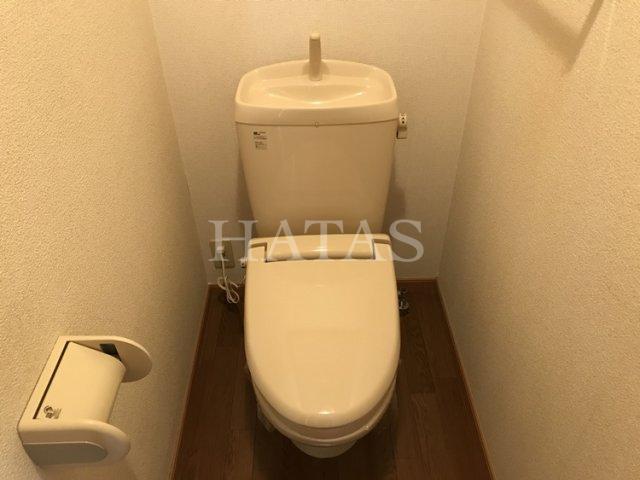 トイレ　同物件別部屋です。