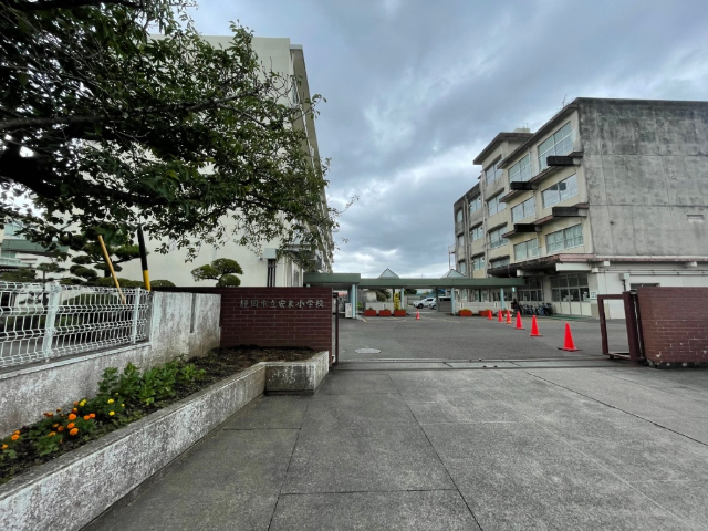 【イル　ジラソーレの小学校】