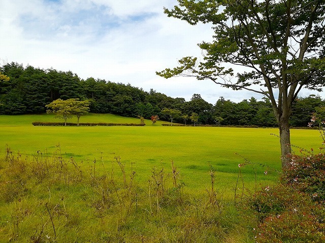 【サンライゼ天王　IIの公園】