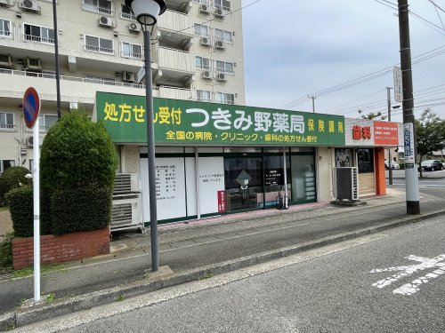 ドラックストア　つきみ野薬局（ドラッグストア）まで805m