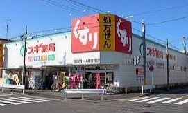 ドラックストア　スギ薬局 草薙店（ドラッグストア）まで793m