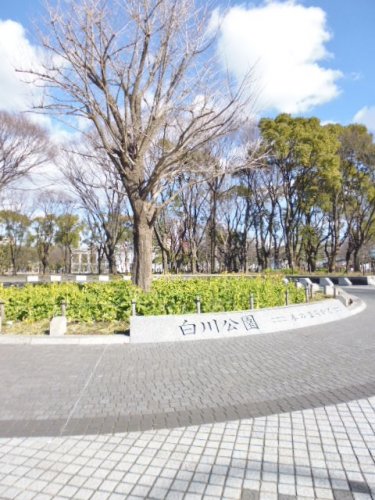 公園　白川公園（公園）まで710m