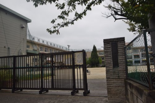 小学校　市川市立鬼高小学校（小学校）まで1366m