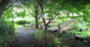 公園　都立戸山公園大久保地区（公園）まで671m