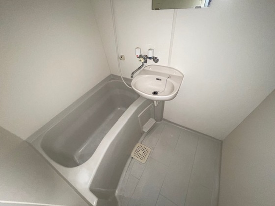 バス・シャワールーム　※別部屋の写真です