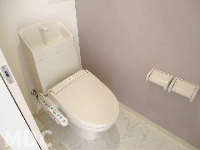 ＪＲ牟岐線 二軒屋駅 徒歩19分 2階建 築13年のトイレ写真