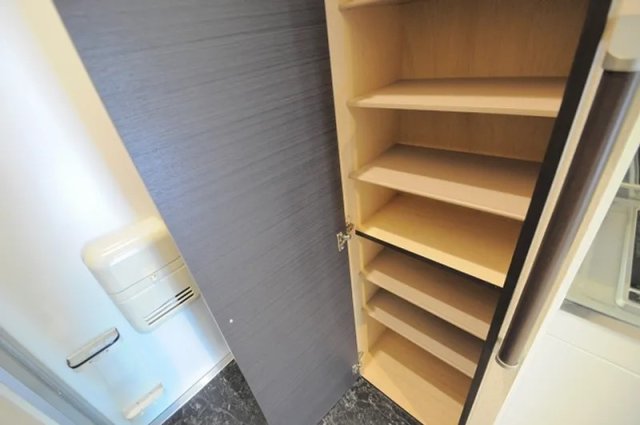 玄関　同物件、別号室のものです。