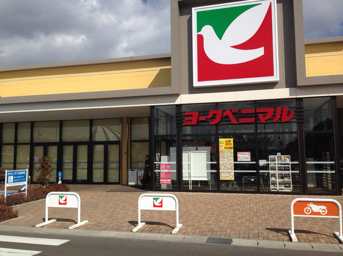 スーパー　ヨークベニマル泉野村店（スーパー）まで550m