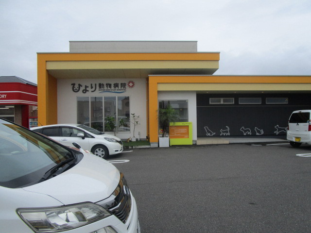 病院　ひより動物病院（病院）まで429m