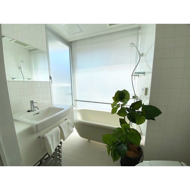 バス・シャワールーム　引渡し時、家具の設置はございません。