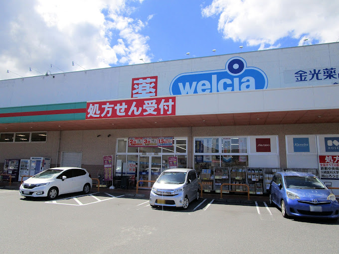 ドラックストア　金光薬品 倉敷林店（ドラッグストア）まで501m