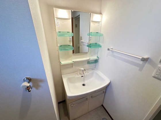 洗面設備　※別号室の写真です