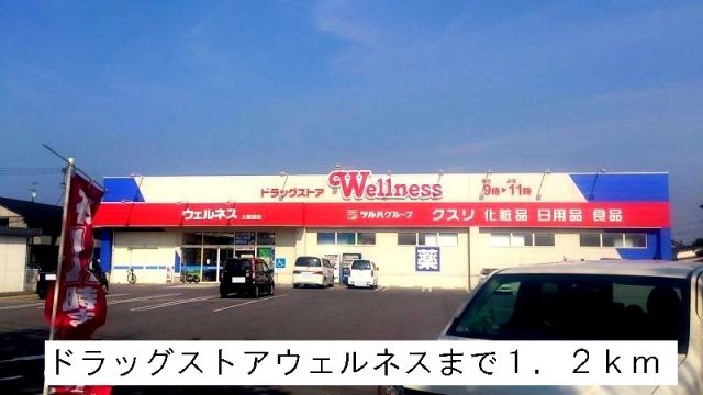 ドラックストア　ドラッグストアウェルネス（ドラッグストア）まで1200m