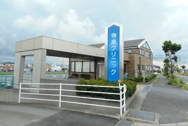 病院　寺島クリニック（病院）まで250m