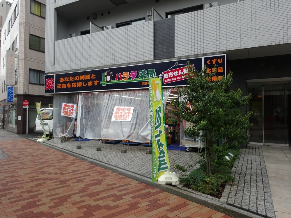 ドラックストア　ハラダ薬局（ドラッグストア）まで539m