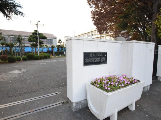 高校・高専　神奈川県県立相模原高等学校（高校・高専）まで391m