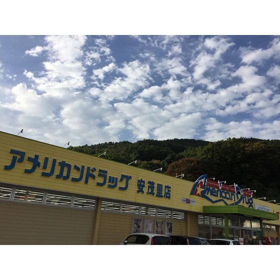 ドラックストア　アメリカンドラッグ安茂里店（ドラッグストア）まで706m