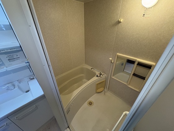 バス・シャワールーム　※別部屋の写真です