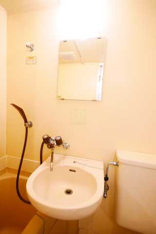 洗面設備　パレクレール白山の洗面所